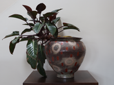AW49 Vessel w/ Plant