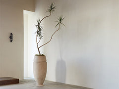 Artifact 06 Planter / Plant Sold Separately