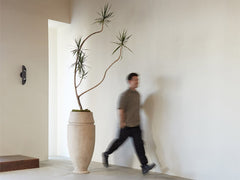 Artifact 06 Planter / Plant Sold Separately