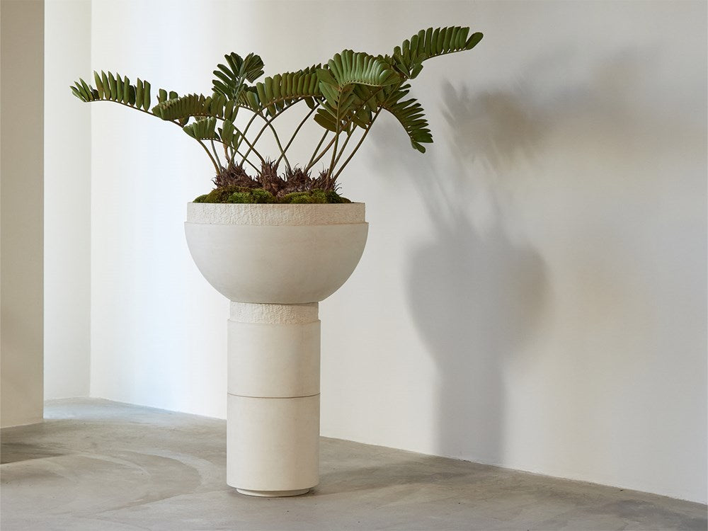 Cardboard Palm 2