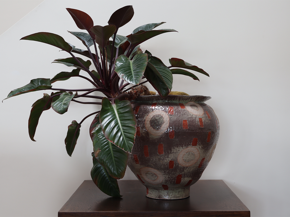 AW49 Vessel w/ Plant