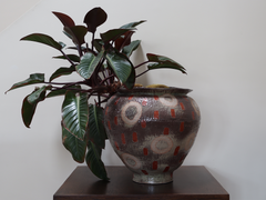 AW49 Vessel w/ Plant