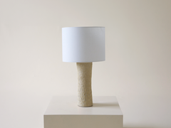 Aether Lamp w/ Shade in Luna